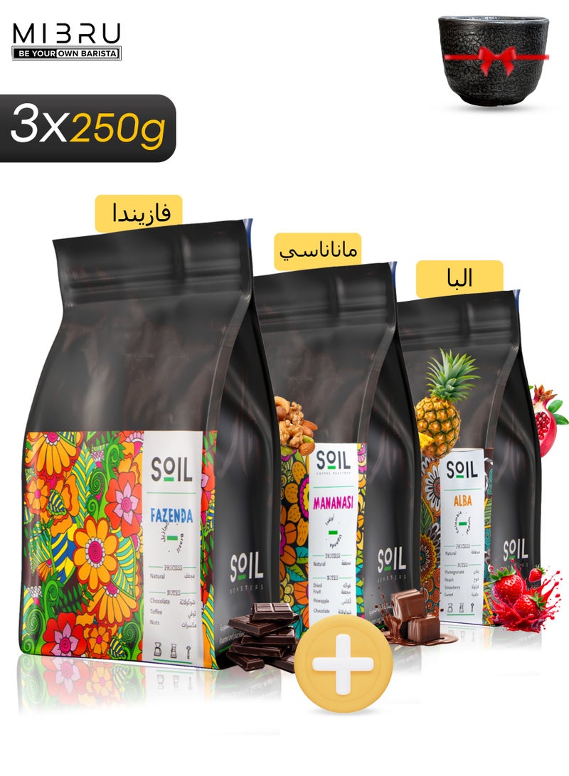 SOIL Whole Coffee Bean Special Package 3 Coffee Bean Luxury Coffee Beans from Soil - Image 1